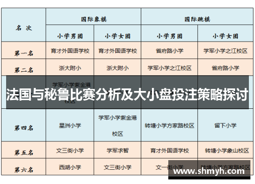 法国与秘鲁比赛分析及大小盘投注策略探讨